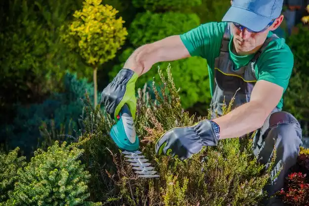 landscaping services Lewisburg